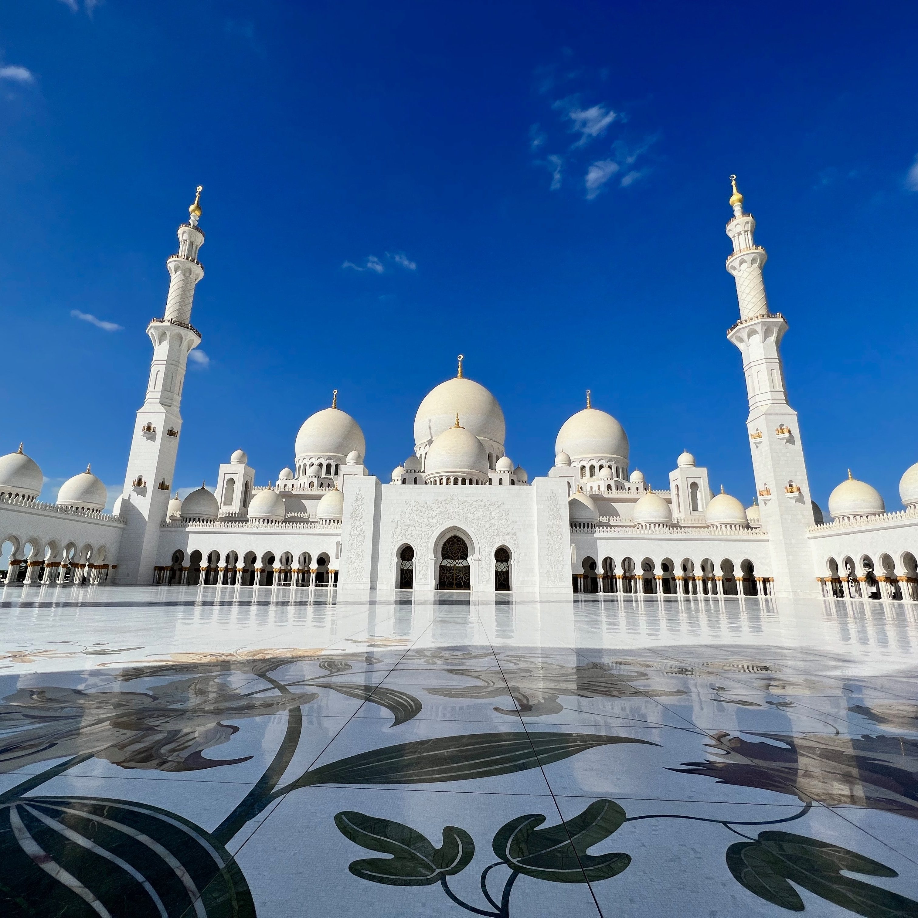Abu Dhabi City Tour with Sheikh Mohammed Mosque visit.