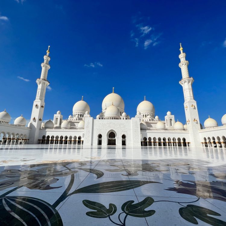 Abu Dhabi City Tour with Sheikh Mohammed Mosque visit.